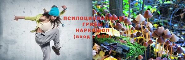 apvp Армянск